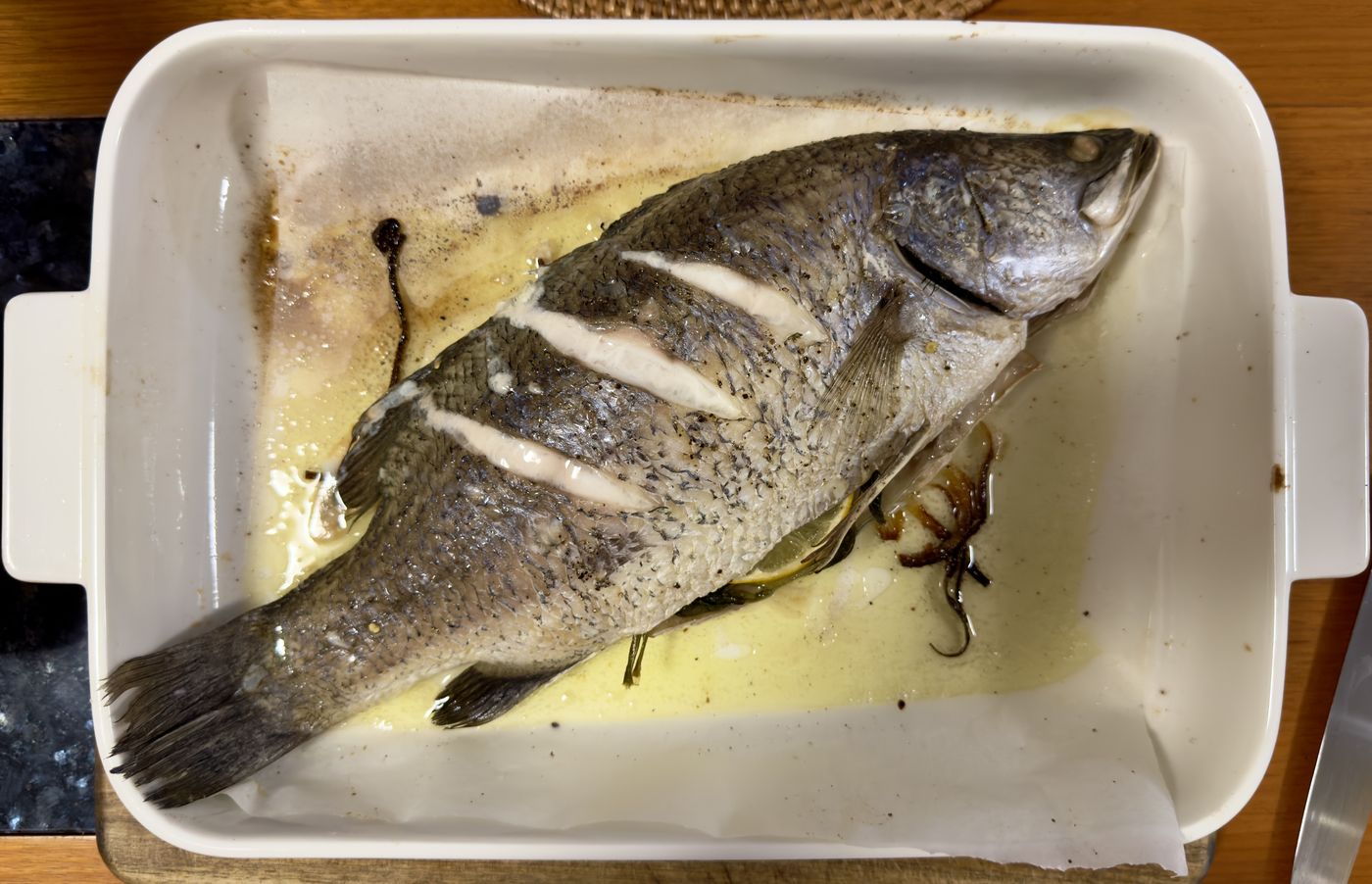 Barramundi