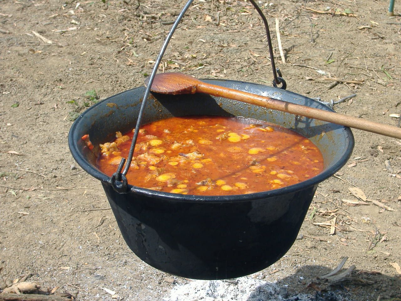 Gulyás, Hungary