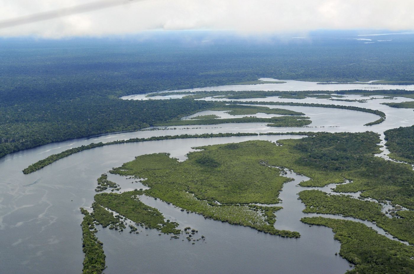 Amazon Rainforest, Northern Brazil