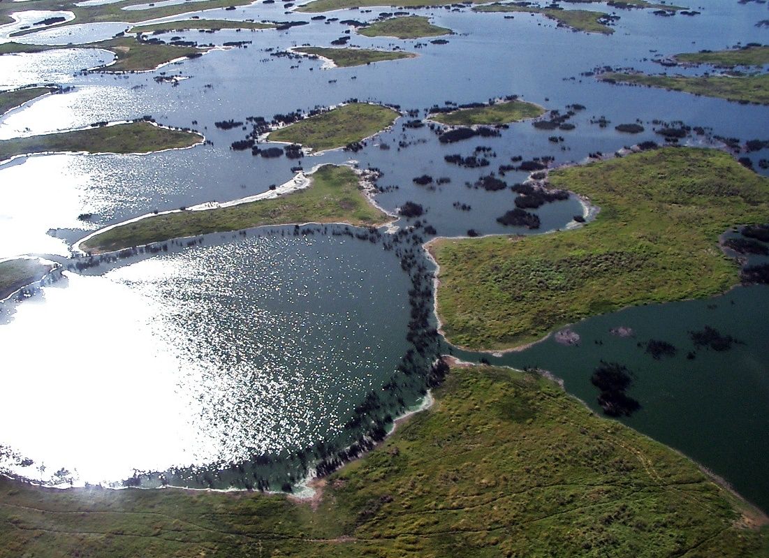 Pantanal, Mato Grosso