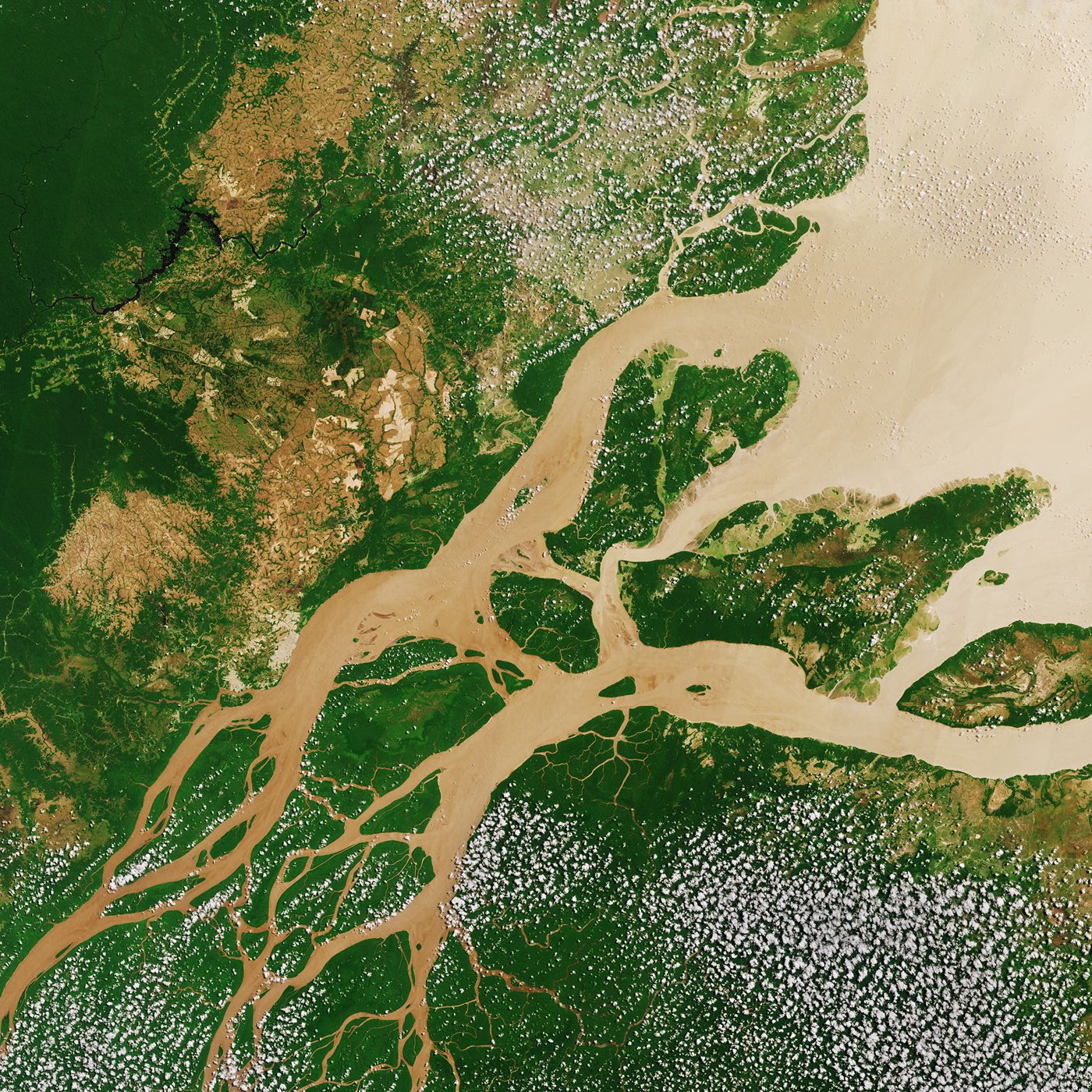 Amazon River, Northern Brazil