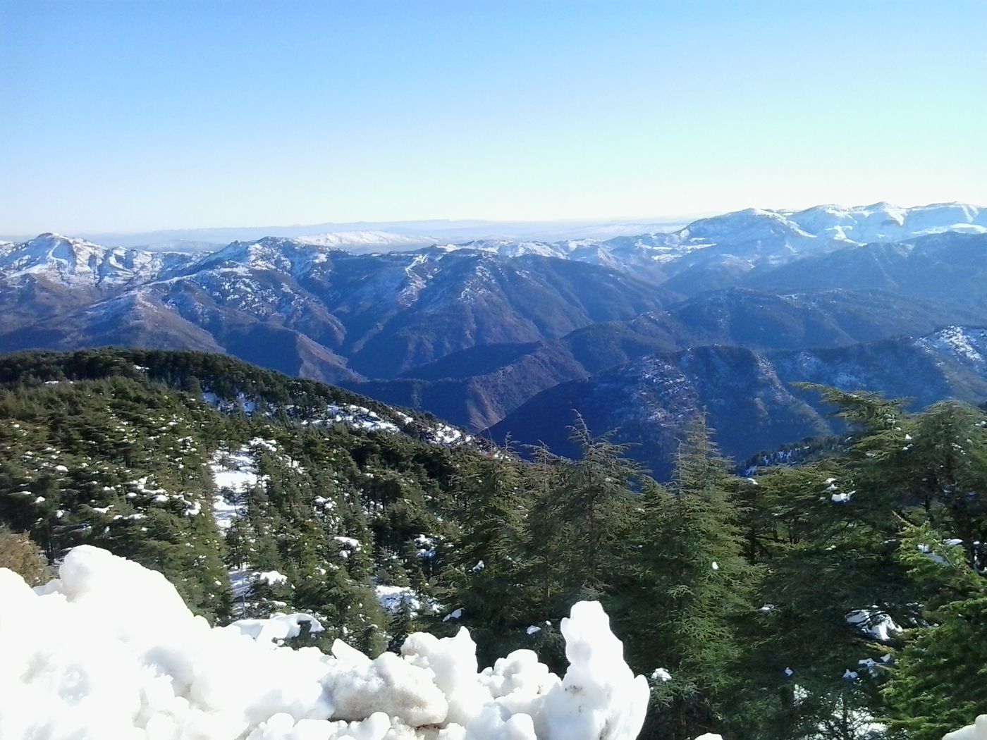 Chrea National Park, Blida Province