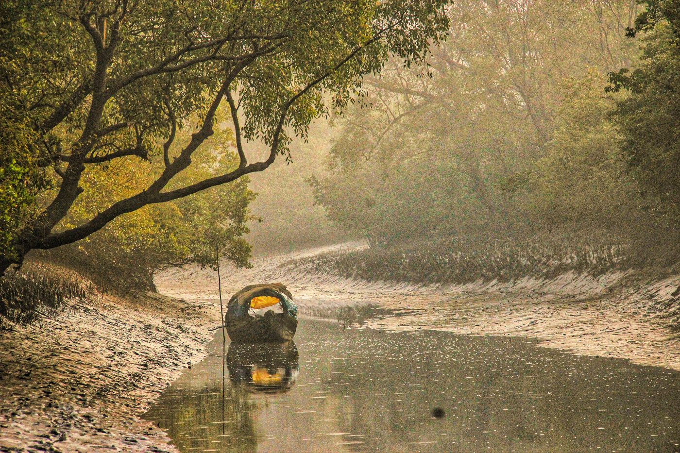 Sundarbans, West Bengal