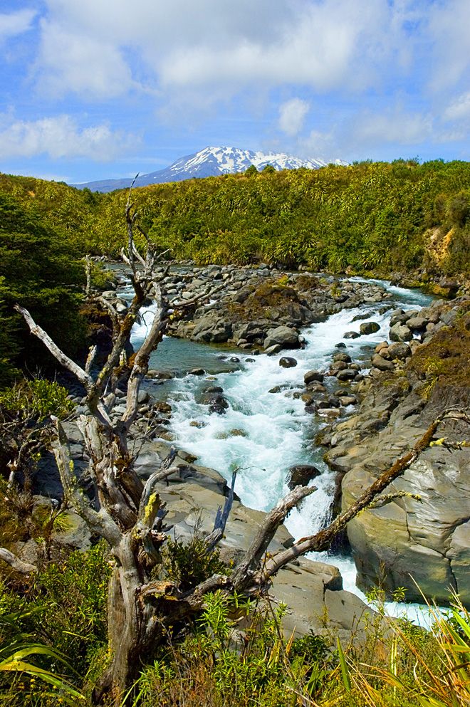 Tongariro, North Island