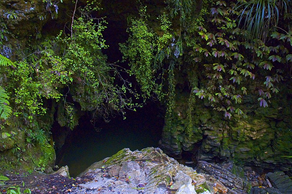 Waitomo Caves, Waikato