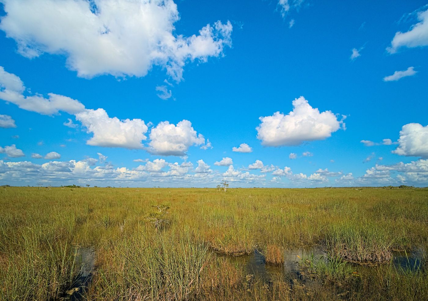 Everglades, Florida
