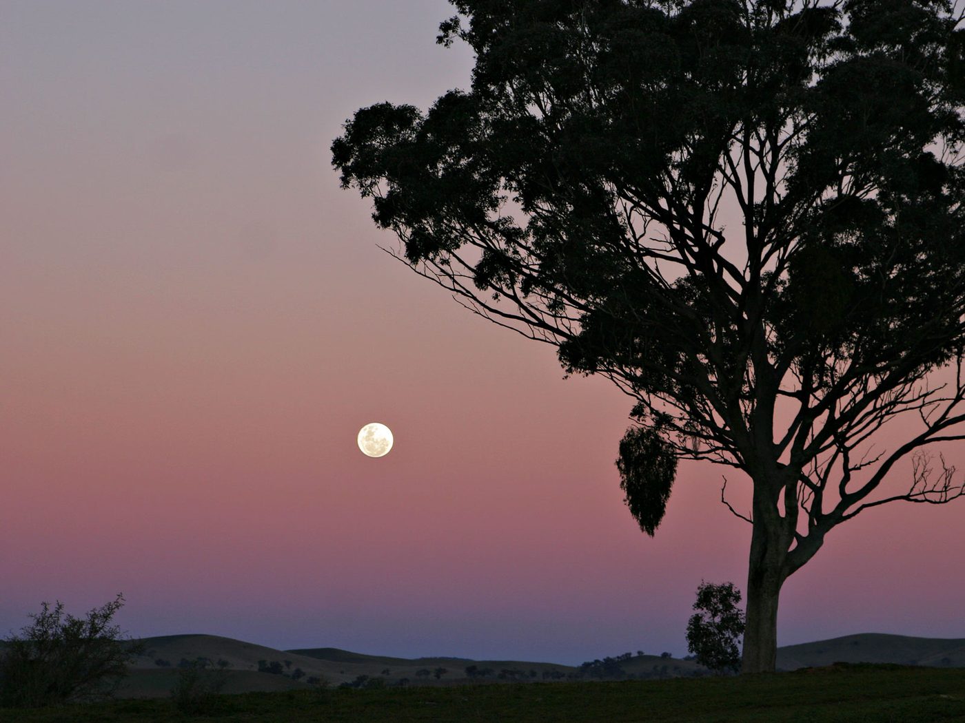 Belt of Venus — Light & Sky natural phenomenon