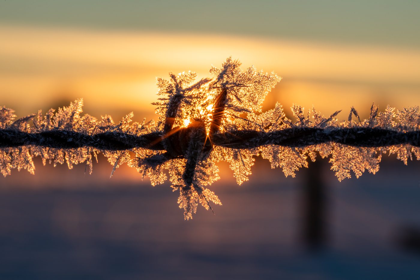 Diamond Dust — Ice & Snow natural phenomenon
