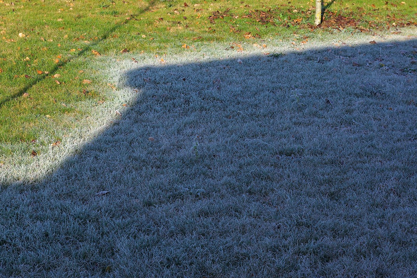 Hoarfrost — Ice & Snow natural phenomenon