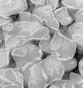 Pancake Ice — Ice & Snow natural phenomenon