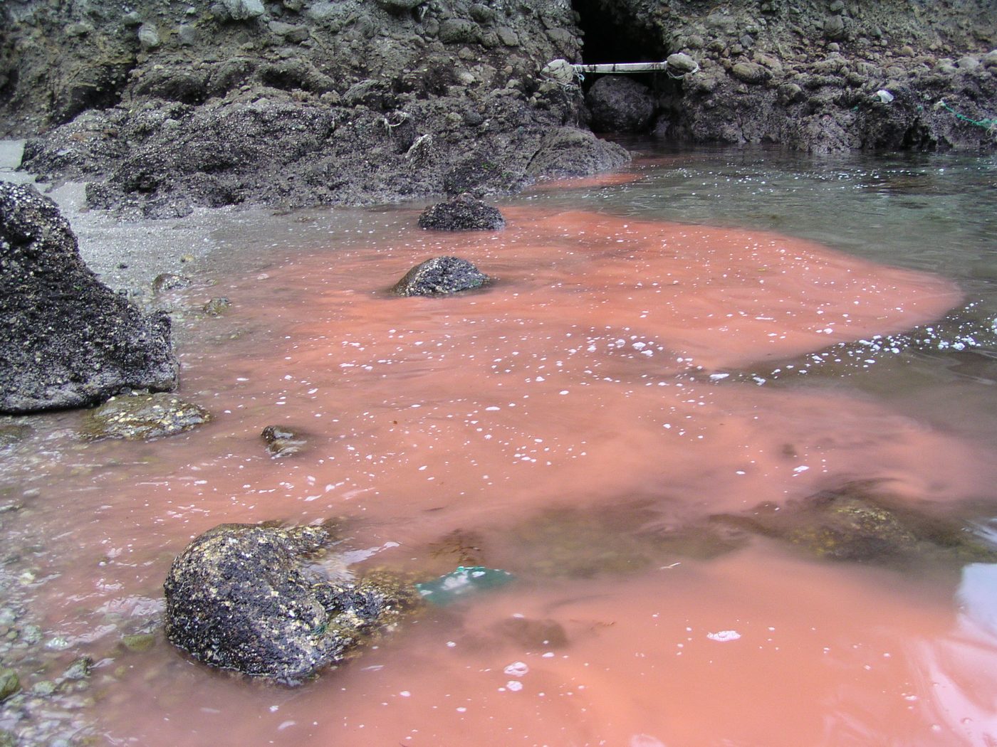 Red Tide — Water & Ocean natural phenomenon