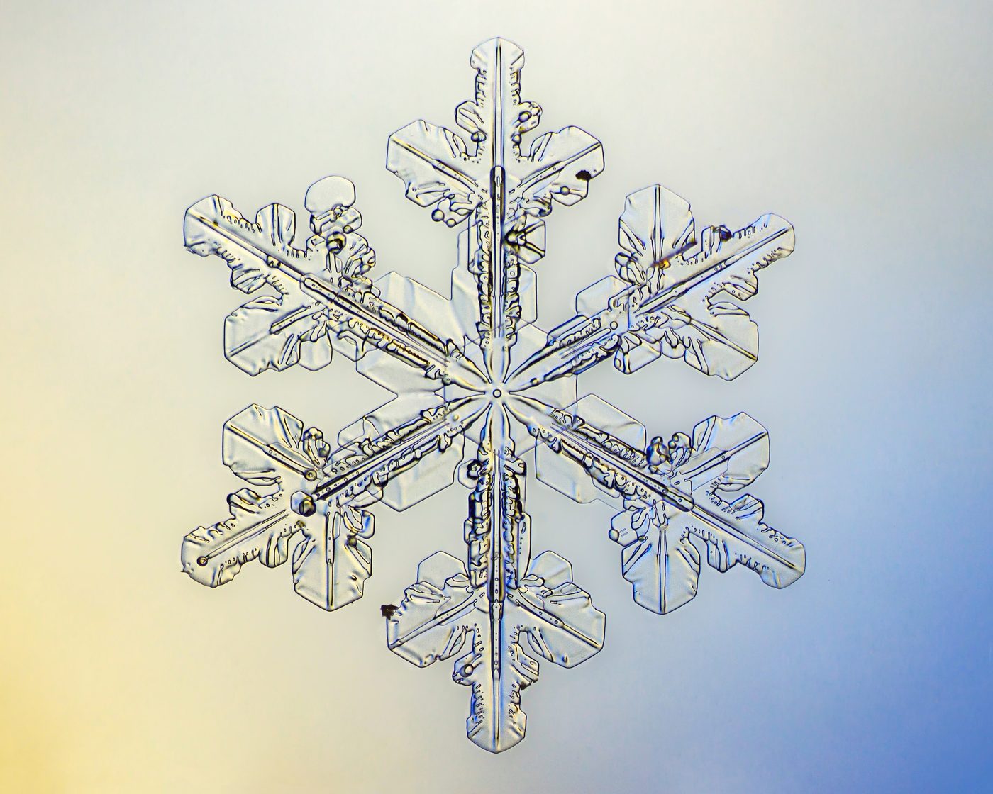 Snowflakes — Ice & Snow natural phenomenon